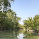 Environmental law